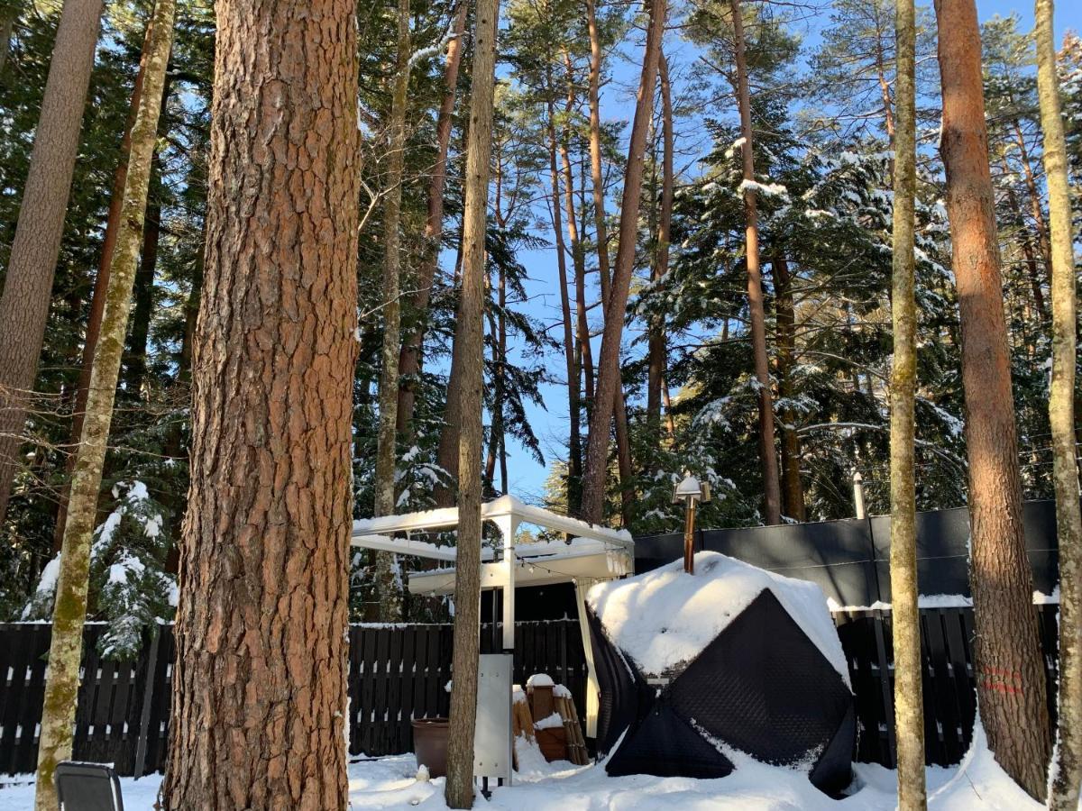 Fuji Fumoto Forest Hotspring ふもとの森温泉 Fujikawaguchiko Exterior photo