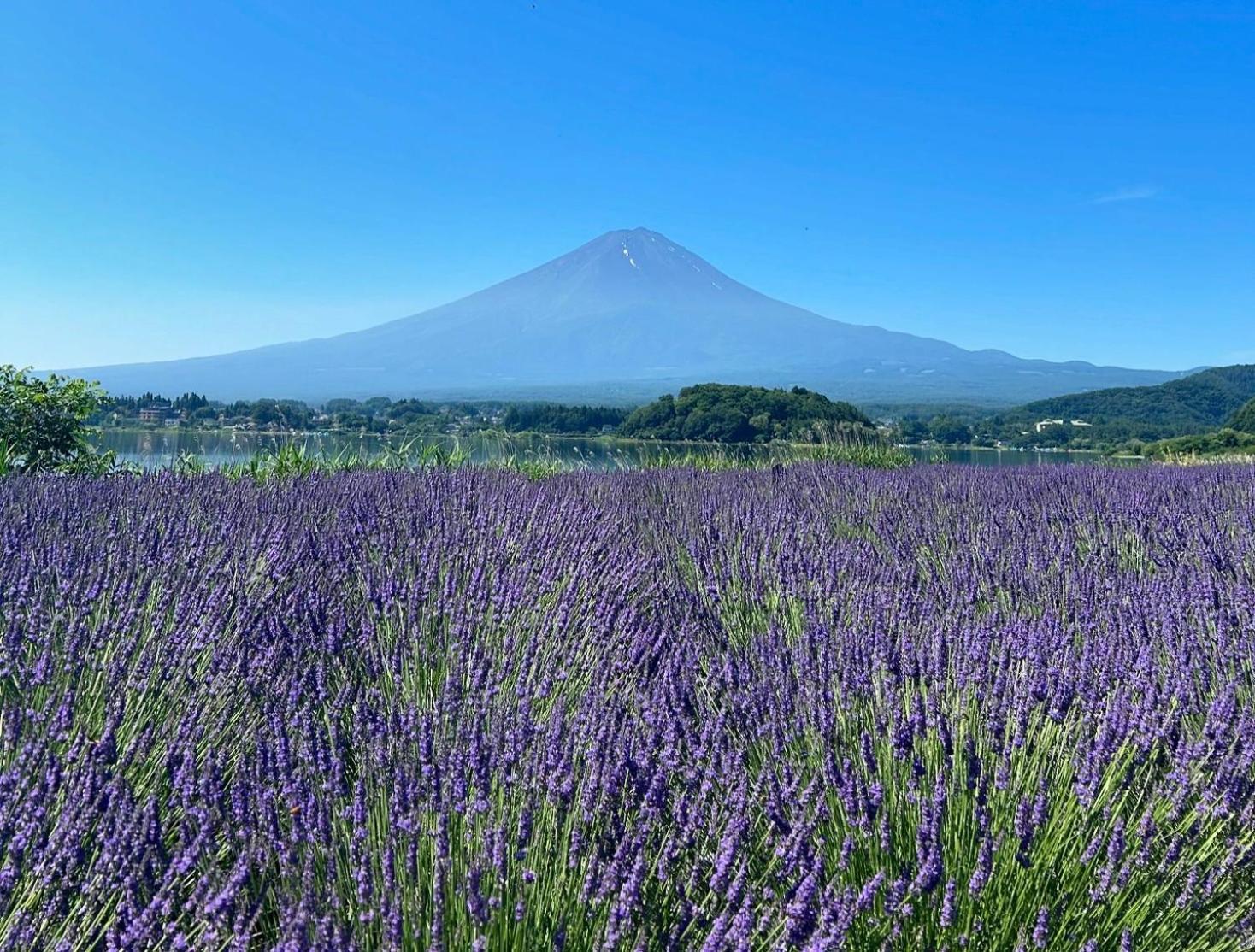 Fuji Fumoto Forest Hotspring ふもとの森温泉 Fujikawaguchiko Exterior photo