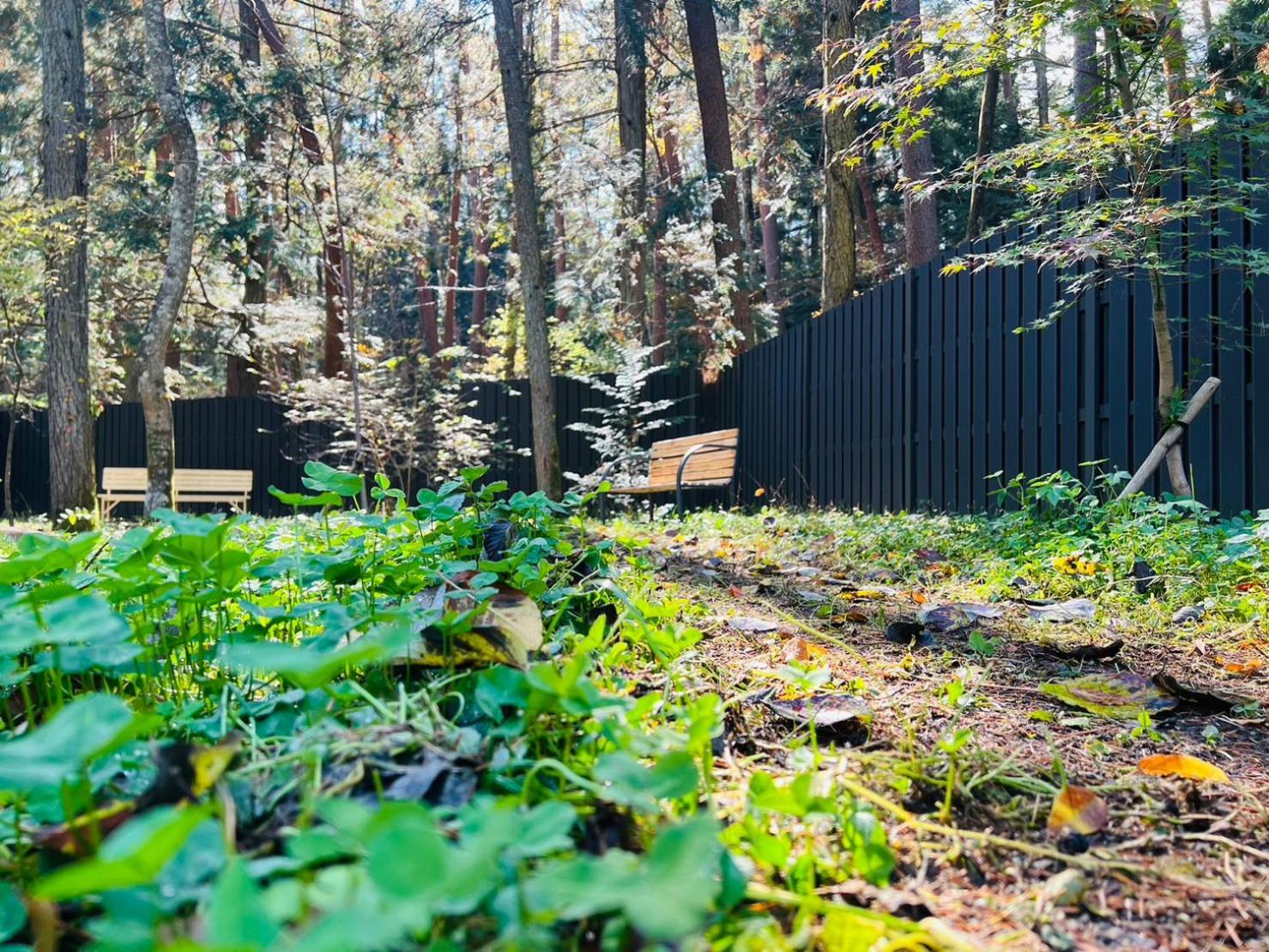 Fuji Fumoto Forest Hotspring ふもとの森温泉 Fujikawaguchiko Exterior photo